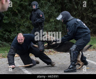 Diepholz, Germany. 24th Oct, 2016. Police officers from the police dog handler unit of the Osnabrueck police department, together with the riot police and the Central Police Deprtment of Lower Saxony are deploying service dogs during a violent demonstration in Diepholz, Germany, 24 October 2016. Photo: Ingo Wagner/dpa/Alamy Live News Stock Photo