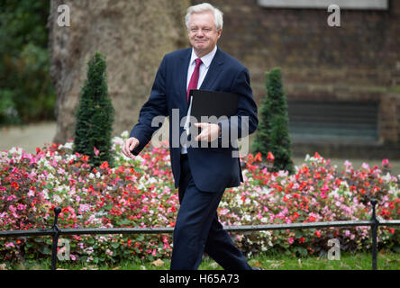 London, UK. 24th Oct, 2016. Downing Street.London.Prime Minister Theresa May meets leaders of the 3 devolved governments ahead of the UK's negotiations to leave the EU.Pic Shows Brexit Minister David Davies Credit:  PAUL GROVER/Alamy Live News Stock Photo