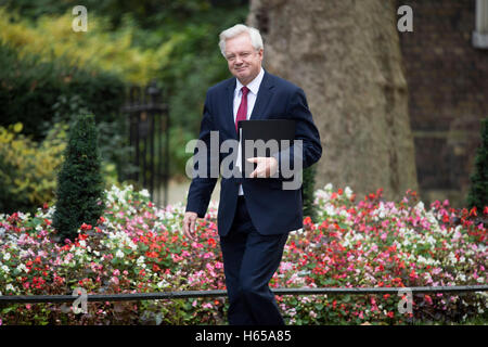 London, UK. 24th Oct, 2016. Downing Street.London.Prime Minister Theresa May meets leaders of the 3 devolved governments ahead of the UK's negotiations to leave the EU.Pic Shows Brexit Minister David Davies Credit:  PAUL GROVER/Alamy Live News Stock Photo