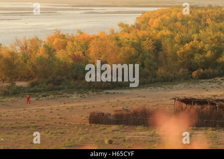 Lebap, Lebap, China. 23rd Oct, 2016. Lebap, Turkmenistan-October 23 2016: (EDITORIAL USE ONLY. CHINA OUT).Autumn scenery of Karakum Desert and Amu Darya River in Lebap, Turkmenistan, October 23rd, 2016. © SIPA Asia/ZUMA Wire/Alamy Live News Stock Photo