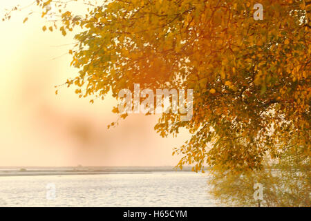 Lebap, Lebap, China. 23rd Oct, 2016. Lebap, Turkmenistan-October 23 2016: (EDITORIAL USE ONLY. CHINA OUT).Autumn scenery of Karakum Desert and Amu Darya River in Lebap, Turkmenistan, October 23rd, 2016. © SIPA Asia/ZUMA Wire/Alamy Live News Stock Photo