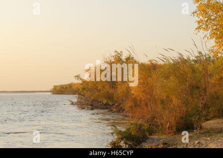 Lebap, Lebap, China. 23rd Oct, 2016. Lebap, Turkmenistan-October 23 2016: (EDITORIAL USE ONLY. CHINA OUT).Autumn scenery of Karakum Desert and Amu Darya River in Lebap, Turkmenistan, October 23rd, 2016. © SIPA Asia/ZUMA Wire/Alamy Live News Stock Photo