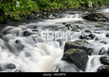 Detail of water flowing over boulders in the River Garry in Glengarry Forest, Lochaber, Scottish Highlands, Scotland Stock Photo