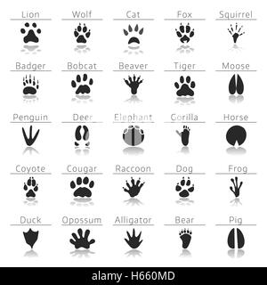 Animal track prints set Stock Vector