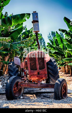 Old abandoned tractor on a banana plantation. Paphos District, Cyprus. Stock Photo