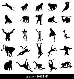 Ape and Monkey collection Stock Vector
