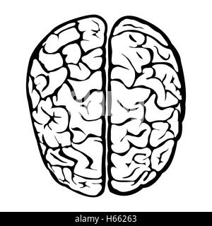 Nice human brain sign Stock Vector