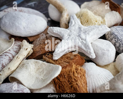 Sea decoration still life Stock Photo
