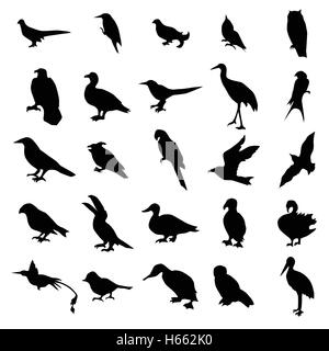 Birds silhouettes set Stock Vector