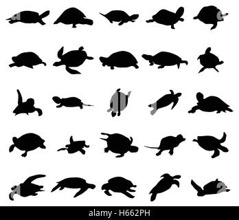 Turtle silhouettes set Stock Vector