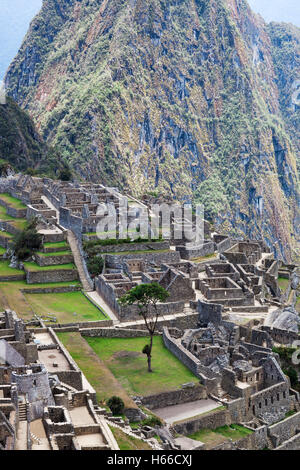 terraces, wall and ancient houses to Machu Picchu Stock Photo - Alamy