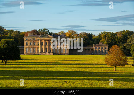 Late afternoon sunshine on Attingham Park, near Shrewsbury, Shropshire, England, UK Stock Photo