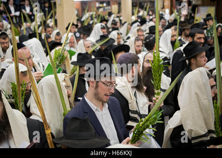 A religious Jewish man blessing an etrog & lulav and saying a prayer in a crowded synagogue in Brooklyn, New York. Stock Photo