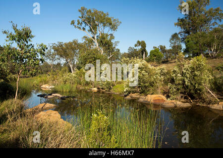Picturesque Australian outback landscape, wildflowers, red rocks, trees & blue sky reflected in mirror surface of water of lazy stream after rain Stock Photo