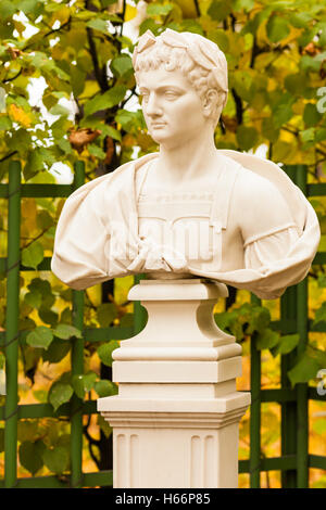 Sculptural bust of the Roman emperor Vespasian in the Summer Garden, St. Petersburg Stock Photo