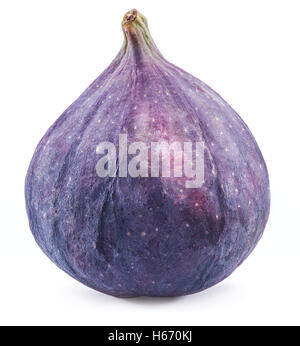 Ripe fig fruit on the white background. Stock Photo