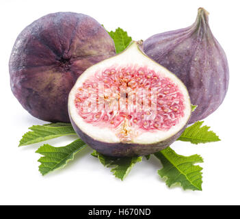 Ripe fig fruits on the white background. Stock Photo