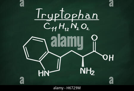 Structural model of Tryptophan on the blackboard. Stock Photo