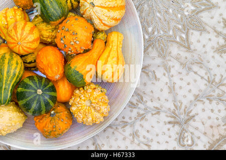 Table centerpiece with colorful orange and green variegated ornamental pumpkins or gourds in different shapes on a neutral patte Stock Photo
