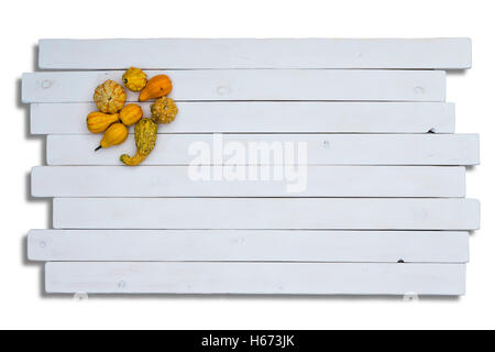 Cute yellow ornamental pumpkin squashes on staggered white wooden panels with copy space over white Stock Photo