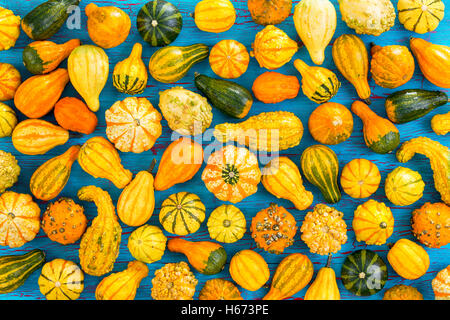 Colorful autumn background of a large variety of different ornamental gourds and pumpkins arranged randomly over a blue backgrou Stock Photo