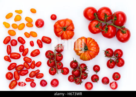 Top down view on raw cherry, grape and gourmet red and yellow tomatoes on white background Stock Photo