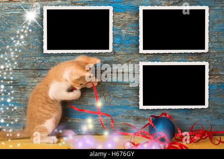 Christmas three vintage empty photo frames, funny playful kitten on primitive wooden background Stock Photo