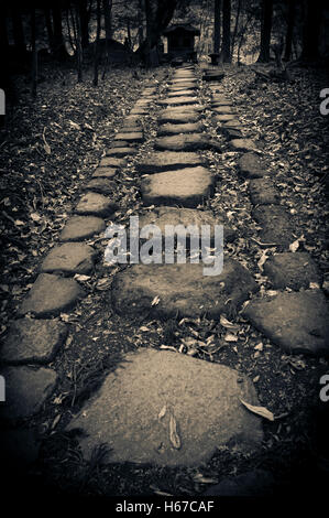 Stone path to a Shintoist sanctuary Stock Photo