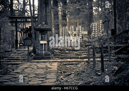 Stone path to a Shintoist sanctuary Stock Photo