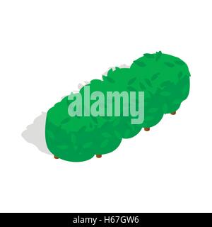 Lot of trees icon, isometric 3d style Stock Vector