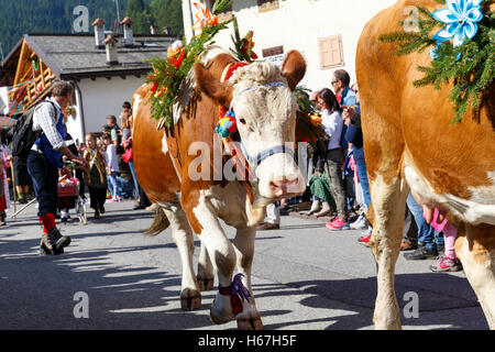 Falcade, Belluno, Italy - September 24, 2016: Se Desmonteghea a great party in Falcade Stock Photo