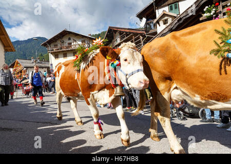 Falcade, Belluno, Italy - September 24, 2016: Se Desmonteghea a great party in Falcade Stock Photo