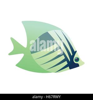 Tropical angelfish cartoon icon Stock Vector