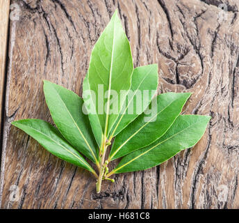 Bay leaf isolated on the wooden table. Stock Photo