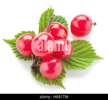 Nanking or felted cherry fruits with leaves isolated on a white background. Stock Photo