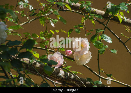 ardeche,france Stock Photo
