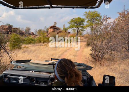 A guide maneuvers her safari jeep past kopje formations in the bush of Botswana's Tuli Wilderness region. Stock Photo