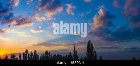 great sky panorama for big 3D projects - orange clouds and the outline of trees at sunset Stock Photo