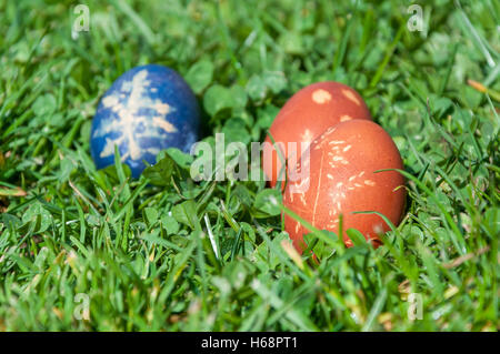 Colored Easter eggs arranged outside in the grass in the sun Stock Photo