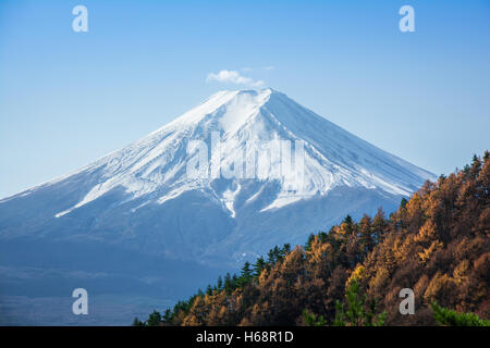 Mount Fuji Autumn Landscape, Fuji, Japan Stock Photo