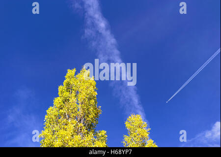 An aircraft vapour trail in a blue sky Stock Photo