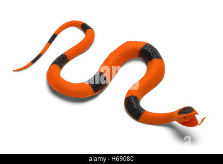 Rubber Toy Snake Isolated on White Background. Stock Photo