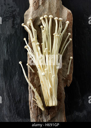 Fresh picked Pleurotus Eryngii straw mushrooms un cooked Stock Photo