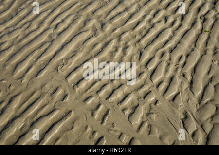 Am Strand.  Langeoog Deutschland Germany. Patterns left in the sand on the beech by the receding sea at low-tide. Stock Photo