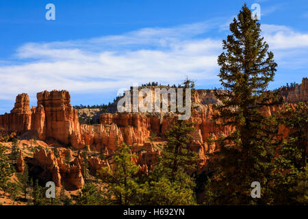 This is a view of the majestic red rock cliffs of Bryce Canyon National Park in Bryce Canyon City, Garfield County, Utah, USA. Stock Photo