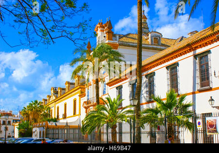 The Hospital de la Caridad is a baroque charity hospital building with a chapel, Seville, Spain. Stock Photo