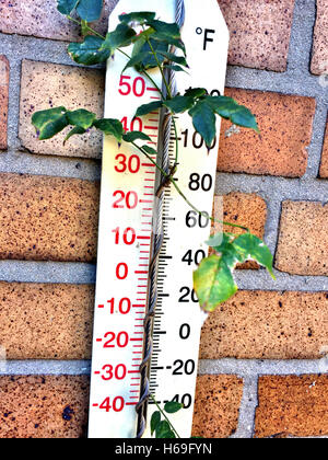 Vintage Outdoor mercury-in-glass thermometer on Brick Wall with  ivy, USA Stock Photo