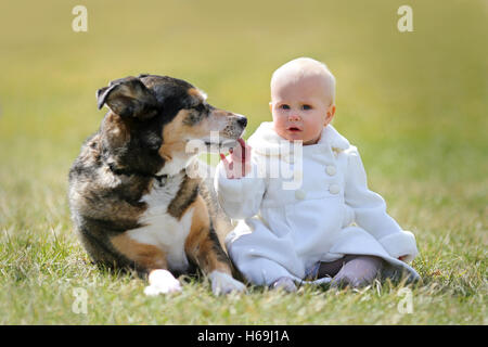 A precious 13 month old baby girl in a faux fur white peacoat, is sitting outside on the grass with her pet German Shepherd dog, Stock Photo