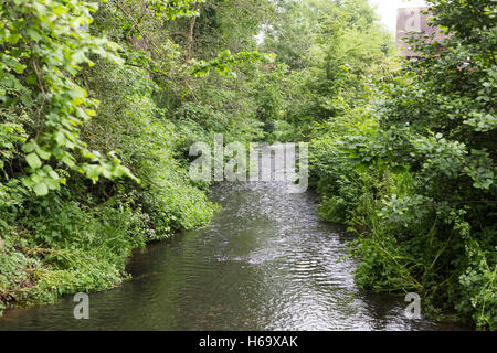 The River Tillingbourne in the Surrey Hills near Friday Street Stock ...