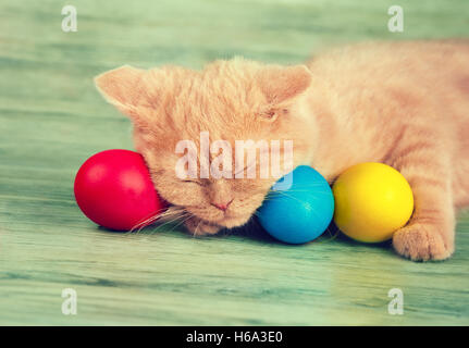 Cute little kitten sleeping on colored easter eggs Stock Photo